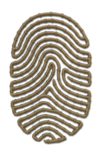 A fingerprint made out of pipes